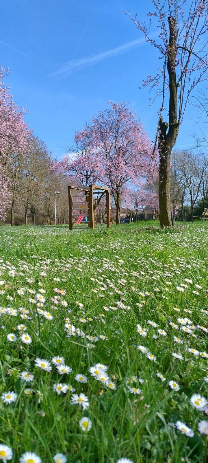 Shanti Ca' Casa Indipendente Con Giardino Lacchiarella Εξωτερικό φωτογραφία